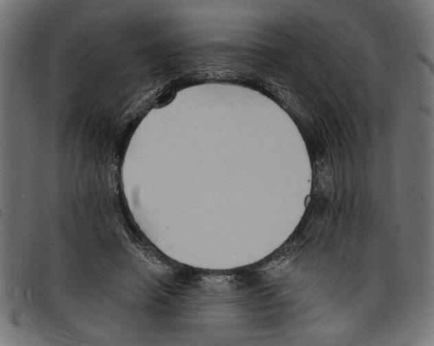 X0000097670450200803281016
