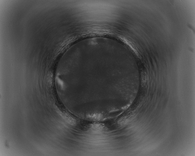 X0000097670451200803281016
