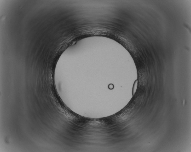 X0000097670453200803281016