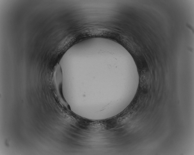 X0000097670454200803281016