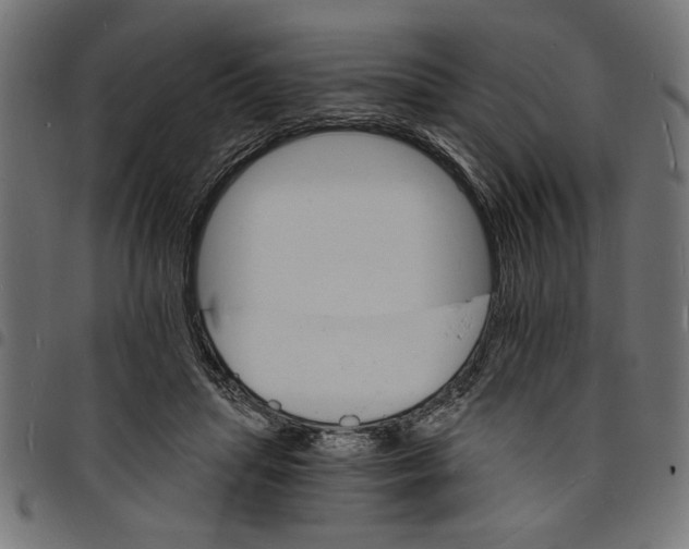 X0000097670455200803281016