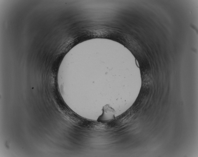 X0000097670456200803281016