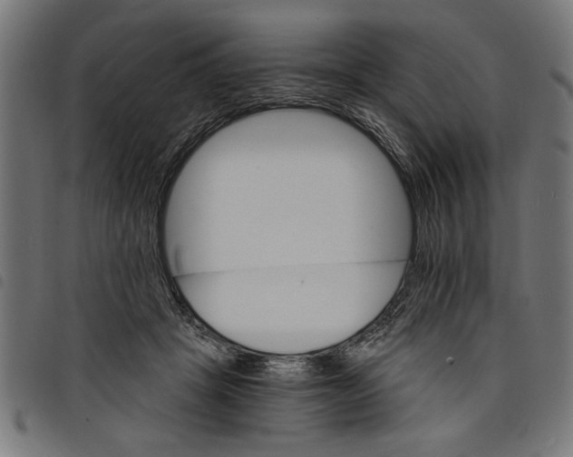 X0000097670457200803281016