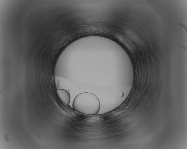 X0000097670459200803281016