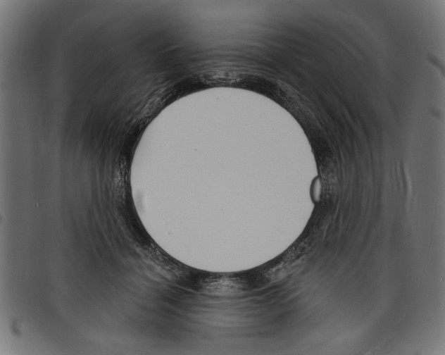 X0000097670460200803281016