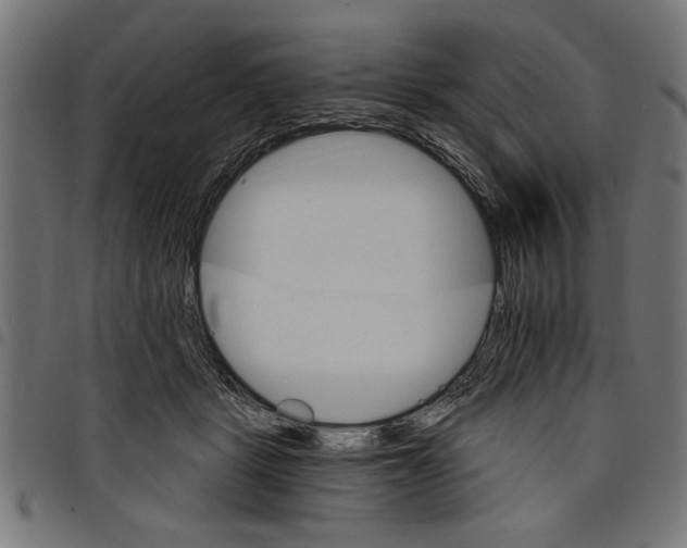 X0000097670461200803281016