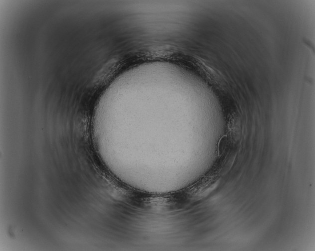 X0000097670462200803281016
