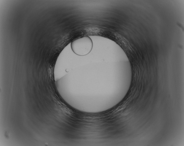 X0000097670463200803281016