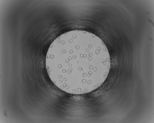 X0000097670464200803281016