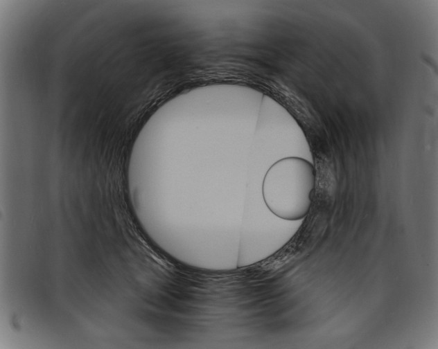 X0000097670465200803281016