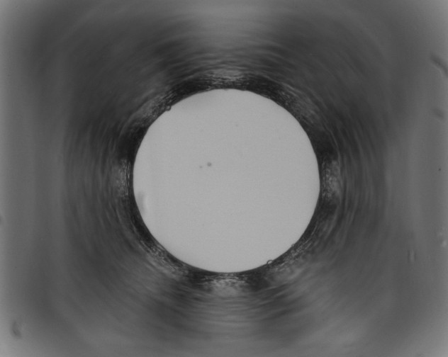 X0000097670468200803281016