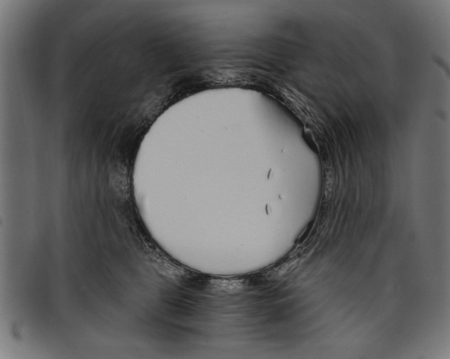 X0000097670469200803281016