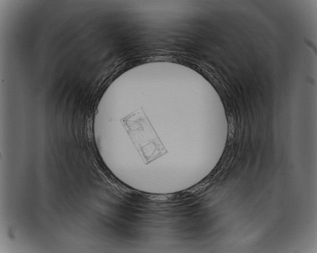 X0000097670470200803281016