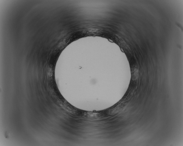 X0000097670472200803281016