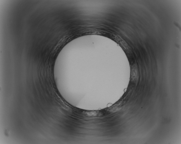 X0000097670473200803281016