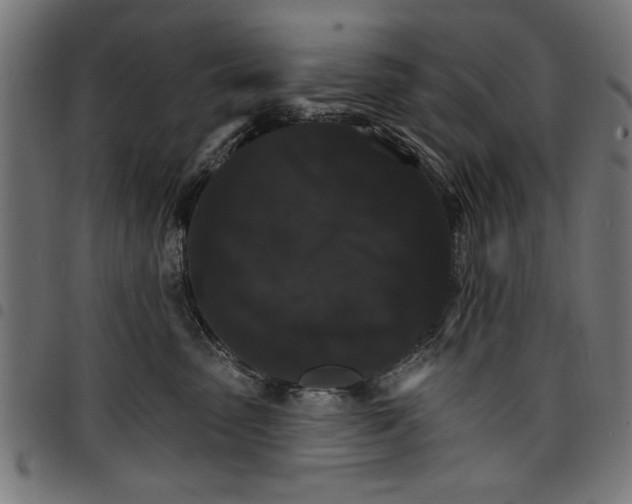 X0000097670475200803281016