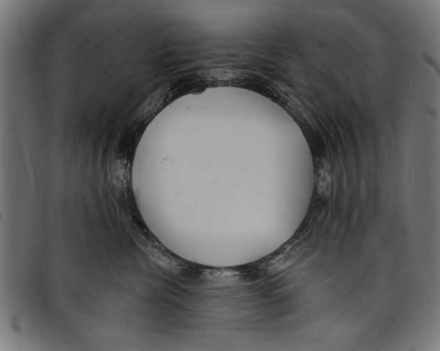 X0000097670476200803281016