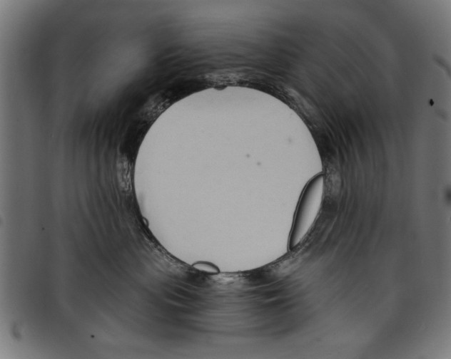 X0000097670477200803281016