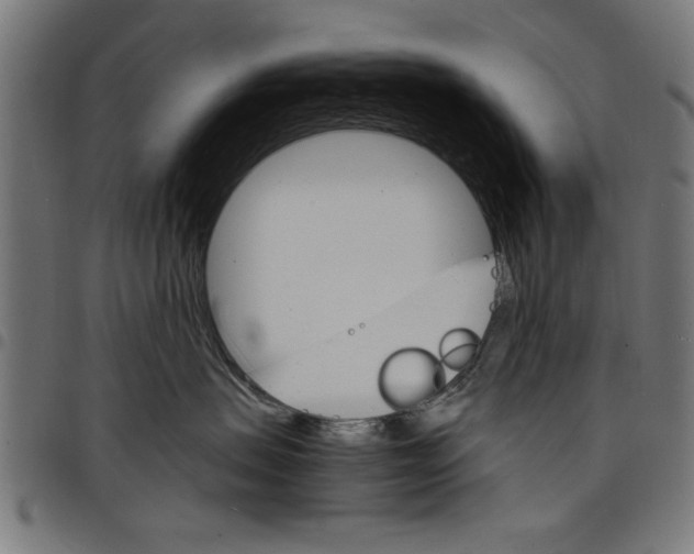 X0000097670479200803281016
