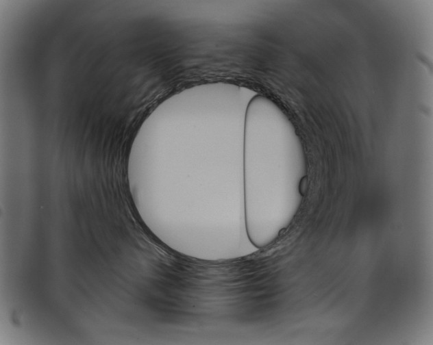 X0000097670480200803281016