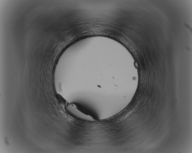 X0000097670481200803281016