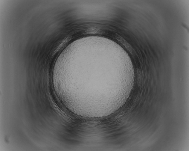 X0000097670482200803281016