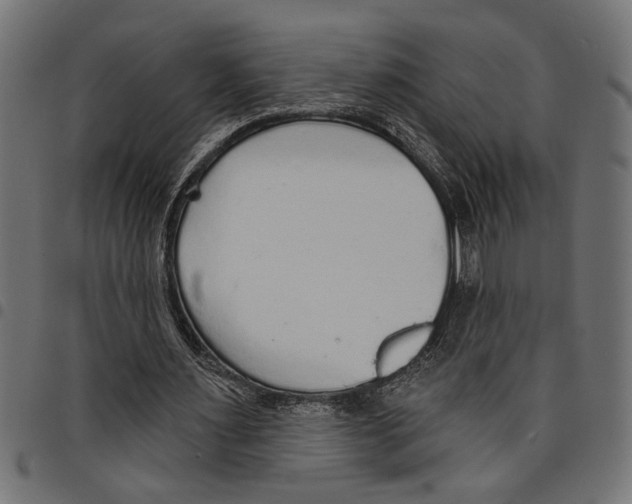 X0000097670483200803281016