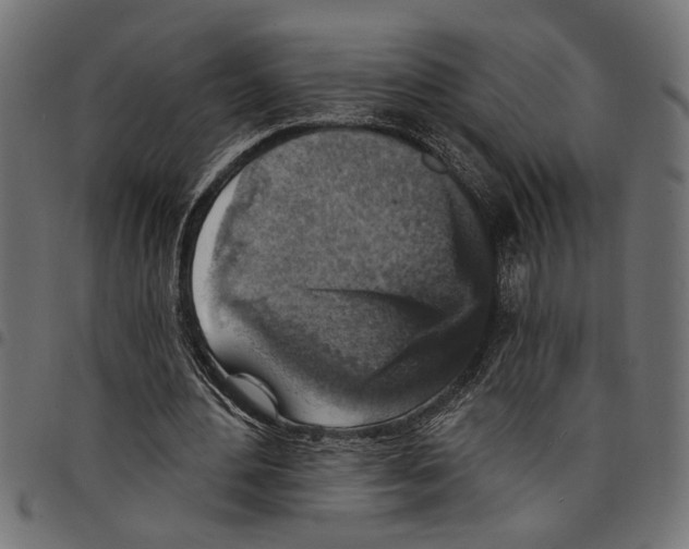 X0000097670484200803281016
