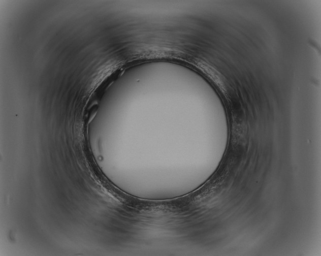 X0000097670485200803281016