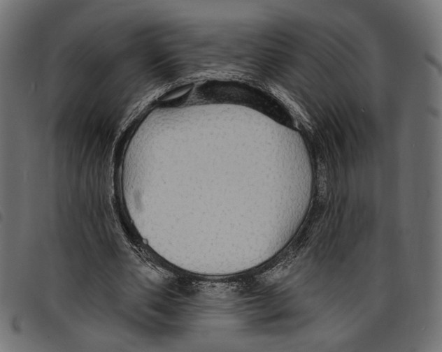 X0000097670486200803281016
