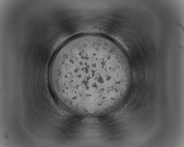 X0000097670487200803281016