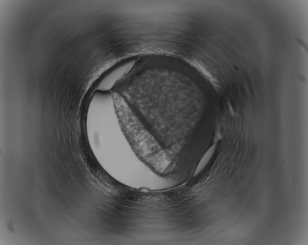 X0000097670488200803281016