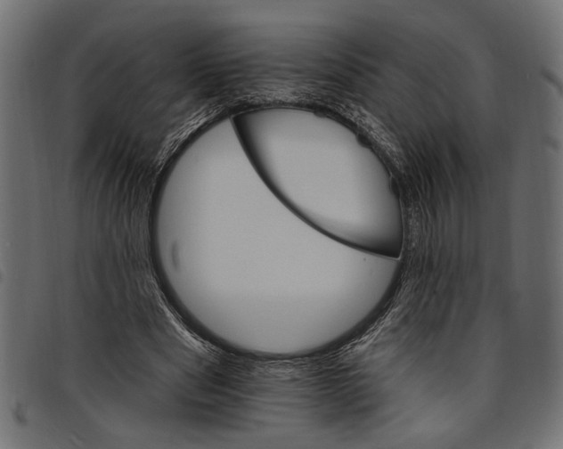 X0000097670489200803281016