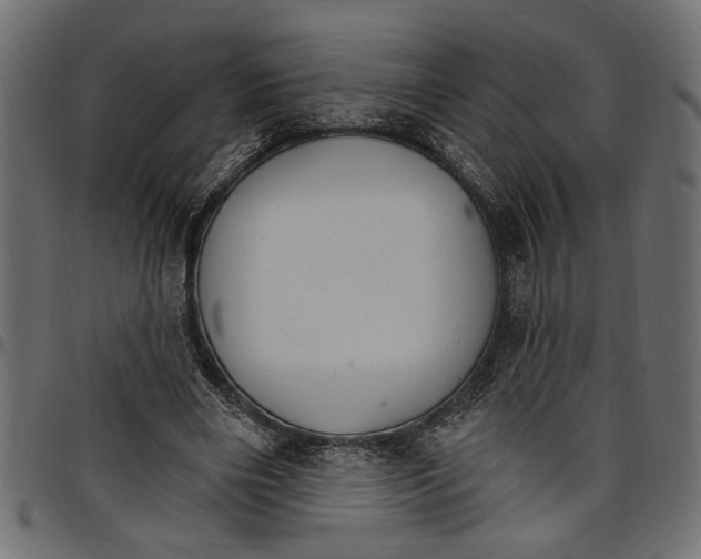 X0000097670490200803281016