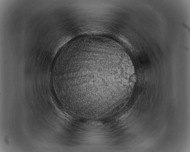 X0000097670491200803281016