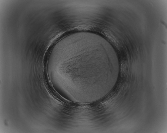 X0000097670492200803281015