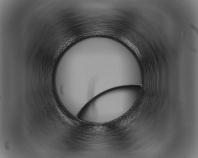 X0000097670493200803281015