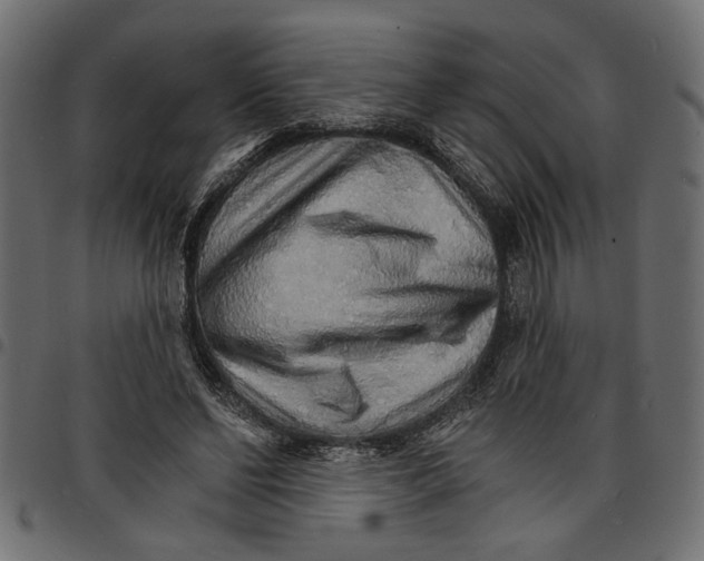 X0000097670494200803281015