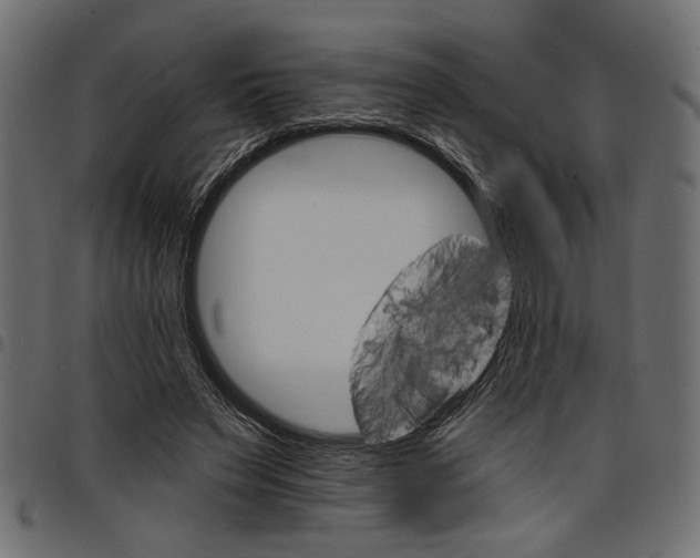 X0000097670495200803281015