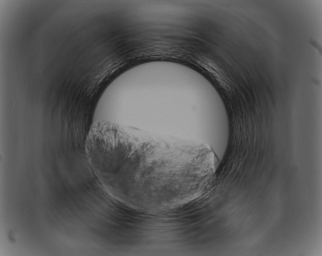 X0000097670499200803281015