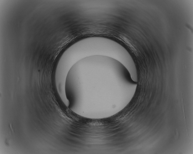 X0000097670500200803281015