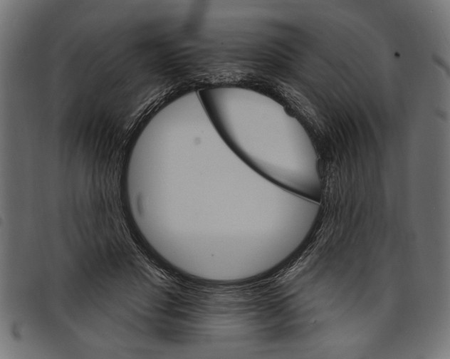 X0000097670501200803281015
