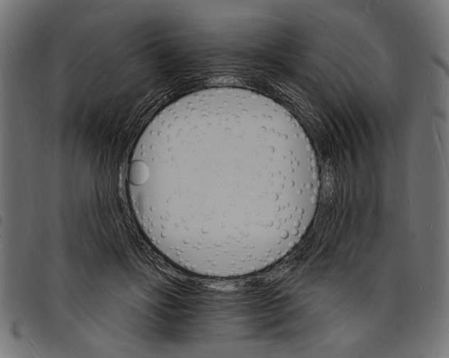 X0000097670502200803281015