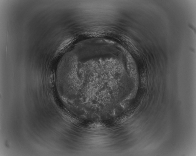 X0000097670503200803281015