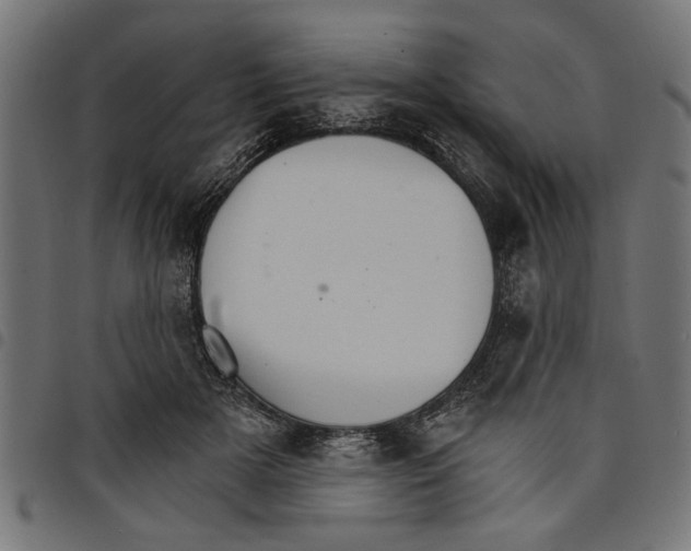 X0000097670505200803281015