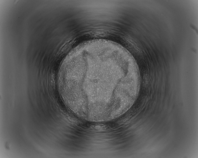 X0000097670506200803281015