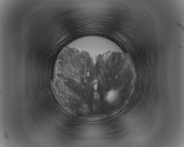 X0000097670507200803281015