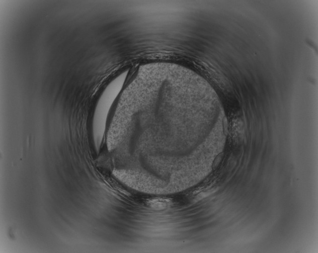X0000097670508200803281015