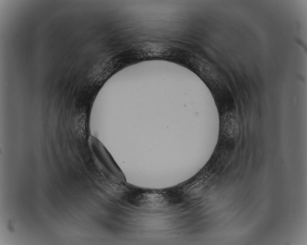 X0000097670509200803281015