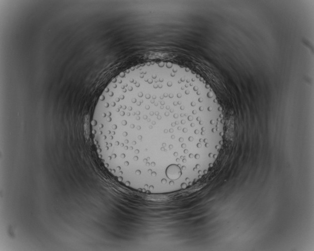 X0000097670510200803281015
